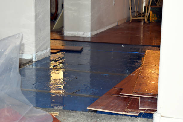 Professional Flood Damage Restoration technician working in Hudson, WI